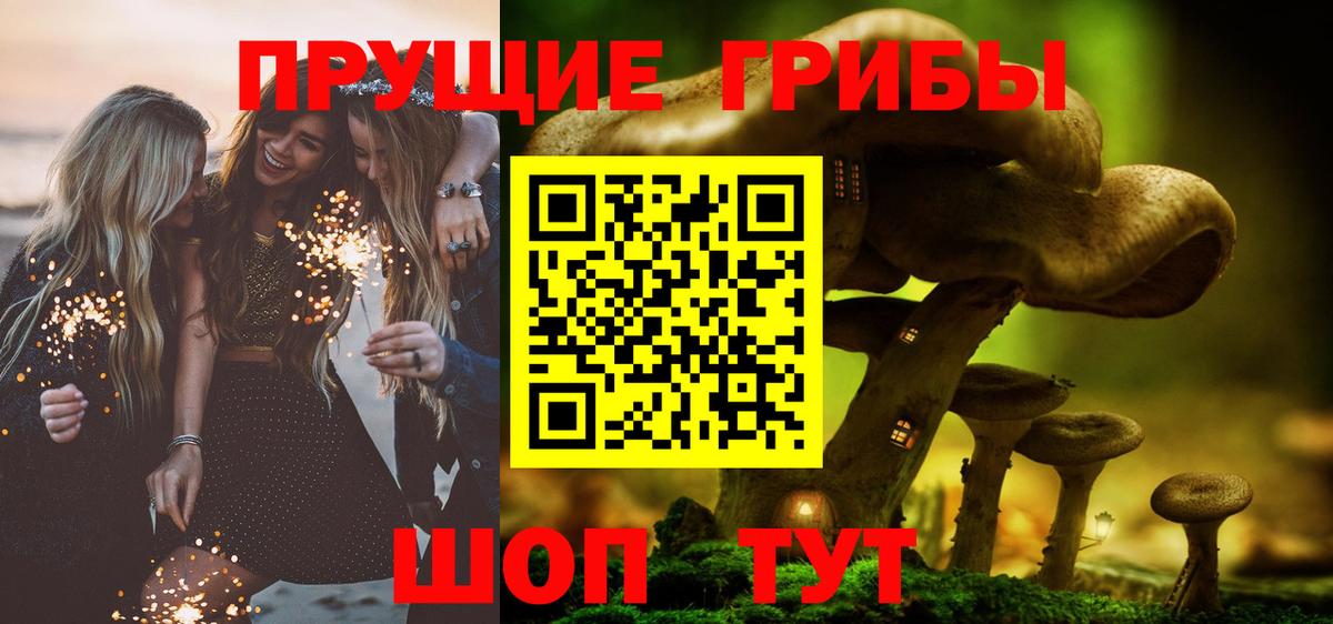 Галлюциногенные грибы Cubensis Казань