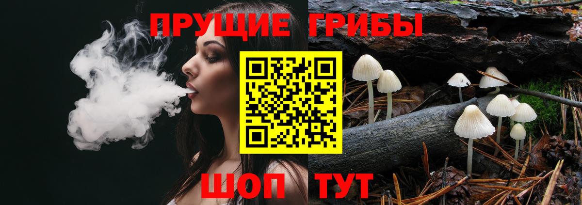 Казань  Псилоцибиновые грибы ЛСД  Вход с VPN 